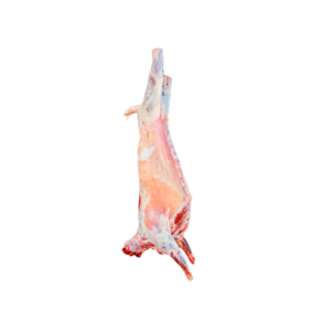 Agneau entier / Tüm kuzu 18-21 Kg